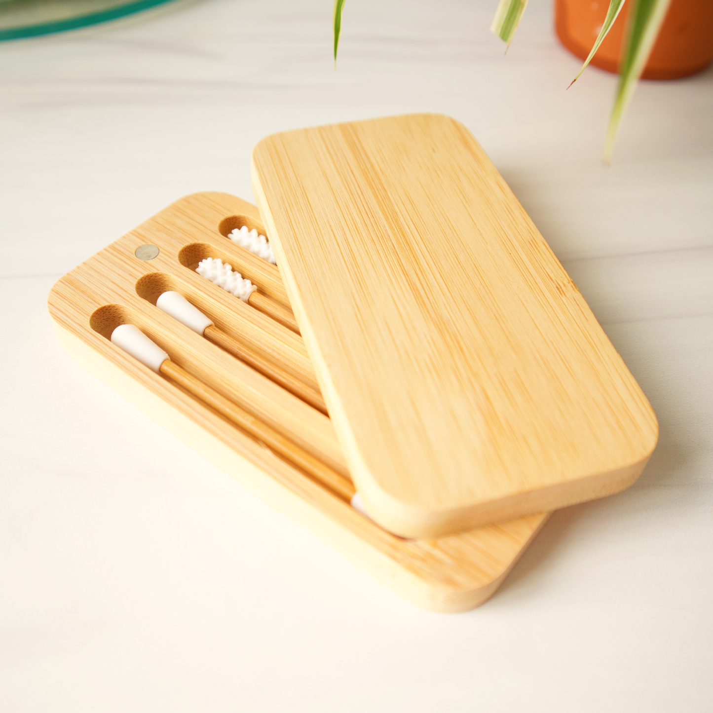 Reusable Ear Swabs